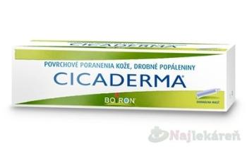 CICADERMA 30 g