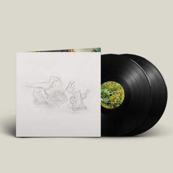 BIG THIEF - DRAGON NEW WARM MOUNTAIN I BELIEVE IN YOU, Vinyl