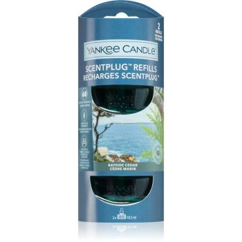 Yankee Candle Bayside Cedar náhradná náplň do elektrického difúzora 2x18.5 ml