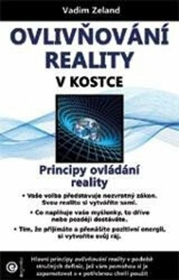 Ovlivňování reality v kostce - Vadim Zeland