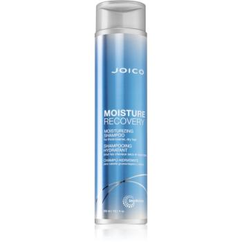 Joico Moisture Recovery hydratačný šampón pre suché vlasy 300 ml