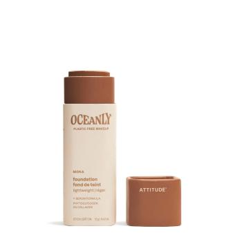 ATTITUDE Oceanly Tuhý make-up Moka 12 g