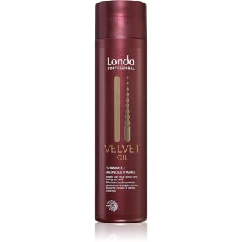 Londa Professional Velvet Oil šampón pre suché a normálne vlasy 250 ml