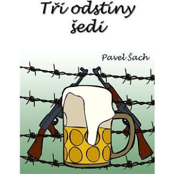 Tři odstíny šedi (978-80-878-5650-5)