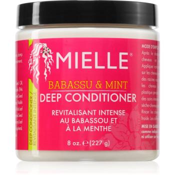 Mielle Babassu & Mint hĺbkovo vyživujúci kondicionér 227 g