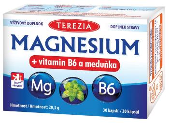 TEREZIA Magnesium + vitamín B6 a medovka 30 kapsúl