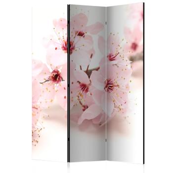 Paraván Cherry Blossom Dekorhome 135x172 cm (3-dielny)