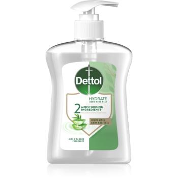 Dettol Soft on Skin Aloe Vera tekuté mydlo na ruky 250 ml