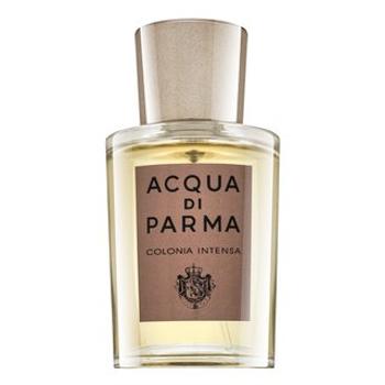 Acqua di Parma Colonia Intensa kolínska voda pre mužov 50 ml