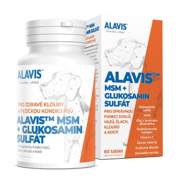 ALAVIS MSM + GLUKOZAMÍN SULFÁT 60 tabliet