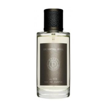 Depot 905 Oriental Soul parfumovaná voda pánska 100 ml