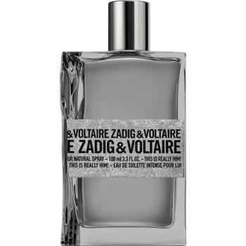 Zadig & Voltaire This is Really him! toaletná voda pre mužov 100 ml