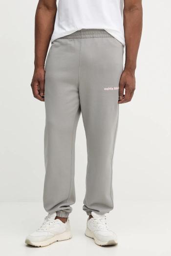 Tepláky Calvin Klein Jeans šedá farba, s potlačou, LV04RC294G