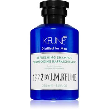 Keune 1922 Refreshing Shampoo energizujúci šampón pre posilnenie vlasov 250 ml