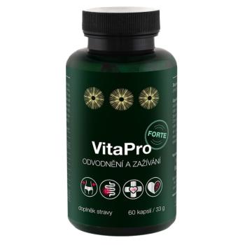 BIOVITA VitaPro odvodnenie a zažívanie forte 60 kapsúl