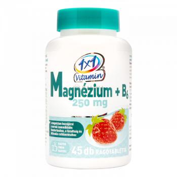 1x1 Vitamin Magnézium + B6-vitamin rágótabletta 250 mg 45 db