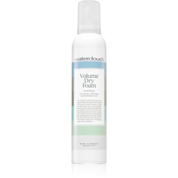 Waterclouds Volume Dry Foam penový suchý šampón pre objem 250 ml