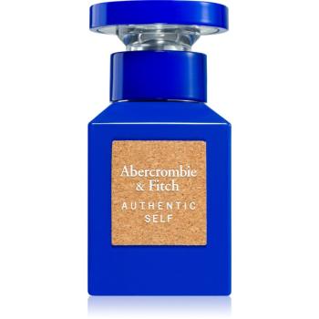 Abercrombie & Fitch Authentic Self for Men toaletná voda pre mužov 30 ml