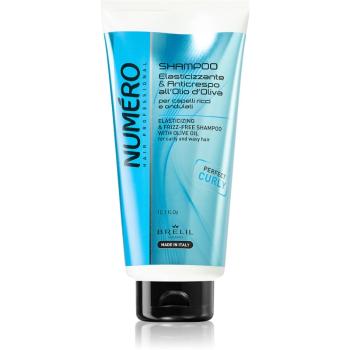 Brelil Numéro Elasticizing & Frizz-Free Shampoo šampón pre vlnité vlasy 300 ml