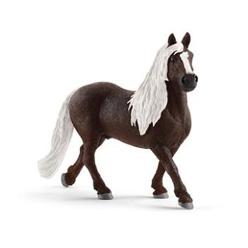 Schleich 13897 Žrebec Schwarzwaldský (4059433038988)