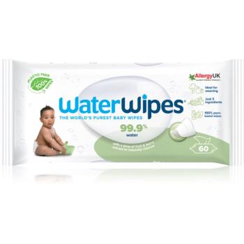 Water Wipes Baby Wipes Soapberry detské jemné vlhčené obrúsky 60 ks