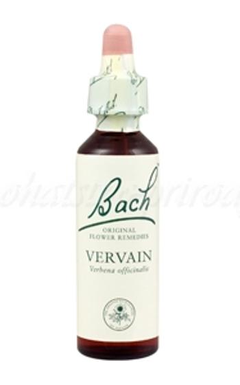 Vervain - Železník lekársky 20 ml - bachove kvapky