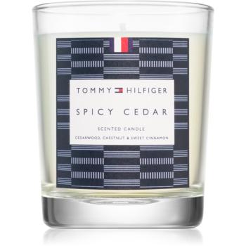 Tommy Hilfiger Home Collection Spicy Cedar Sviečka 180 g