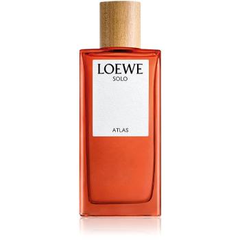 Loewe Solo Atlas parfumovaná voda pre mužov 100 ml