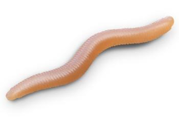Delphin umelá nástraha b! stinxworm 4 cm 50 ks - skiny / shrimp