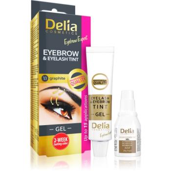 Delia Cosmetics Eyebrow Expert farba na obočie a mihalnice s aktivátorom odtieň 1.1. Graphite 2 x 15 ml