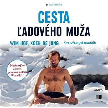 Cesta ľadového muža