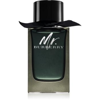 Burberry Mr. Burberry parfumovaná voda pre mužov 150 ml