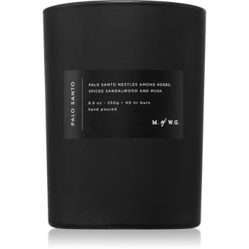 DW Home M. of W.G. Palo Santo vonná sviečka 250 g