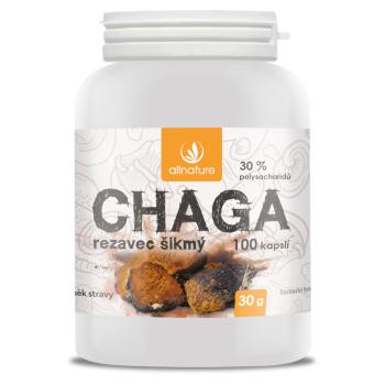 ALLNATURE Chaga 100 kapsúl