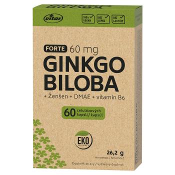 VITAR EKO Ginkgo biloba 60 mg + DMAE + vitamín B6 60 kapsúl