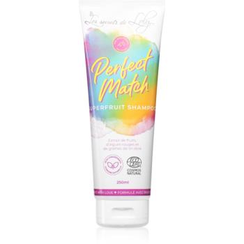 Les Secrets De Loly Perfect Match šampón pre jemné vlasy 250 ml