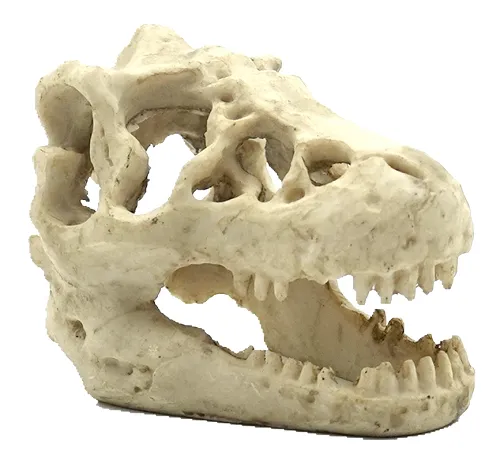 REPTILE NOVA úkryt do terária lebka T-REX malá 16x11x9cm