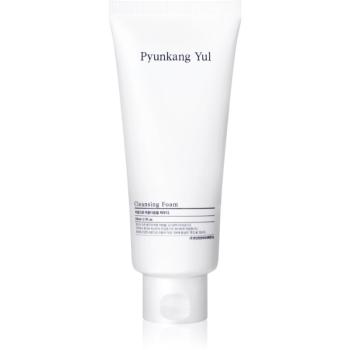 Pyunkang Yul Cleansing Foam mélyisztító hab a kitágult pórusokra 150 ml