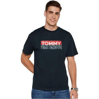 Tommy Jeans  DM0DM19684  Tričká s krátkym rukávom Modrá