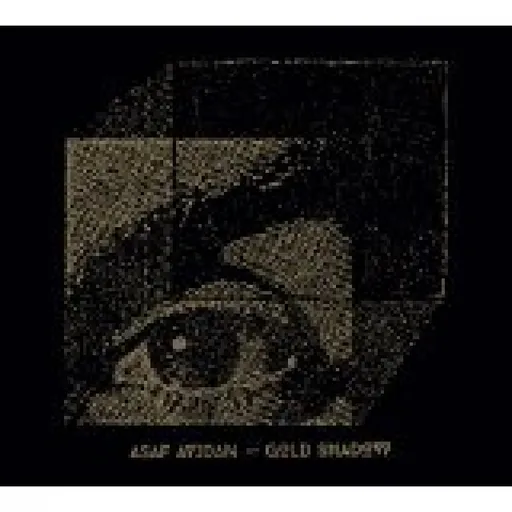 Asaf Avidan, GOLD SHADOW, CD