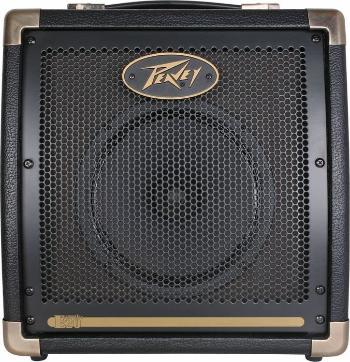 Peavey Ecoustic E20 Kombo pre elektroakustické nástroje