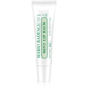 Mario Badescu Mint Lip Balm ultra výživný balzam na pery 10 g