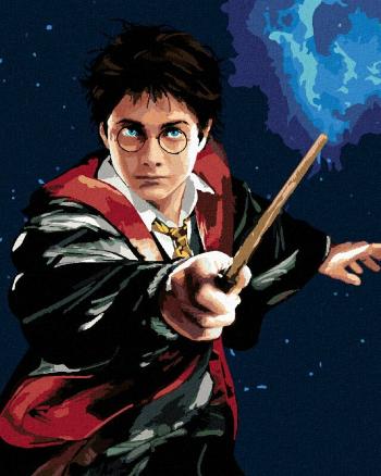 Zuty Maľovanie podľa čísel Harry Potter a prútik