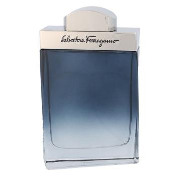 Salvatore Ferragamo Subtil 100ml