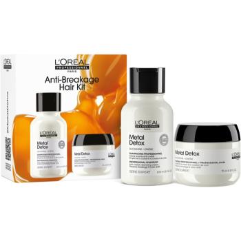 L’Oréal Professionnel Serie Expert Metal Detox darčeková sada pre poškodené vlasy