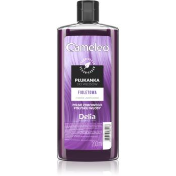 Delia Cosmetics Cameleo Flower Water tónovacia farba na vlasy odtieň Violet 200 ml