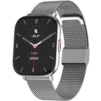 WowME Watch TS strieborné s remienkom milánsky ťah (TS17P silver milanese)