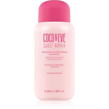 Coco & Eve Sweet Repair Repairing & Restoring Shampoo intenzívne regeneračný šampón pre poškodené a farbené vlasy 280 ml