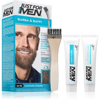 Just for Men Men Moustache & Beard farba na bradu na zakrytie šedín odtieň M-25 Light Grey 1 ks