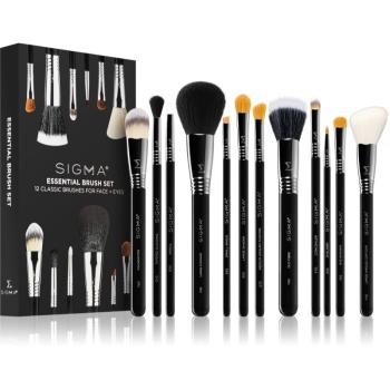 Sigma Beauty Essential sada štetcov na tvár a oči